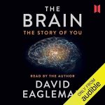 The Brain: The Story of You book cover by David Eagleman, MJA Publishing